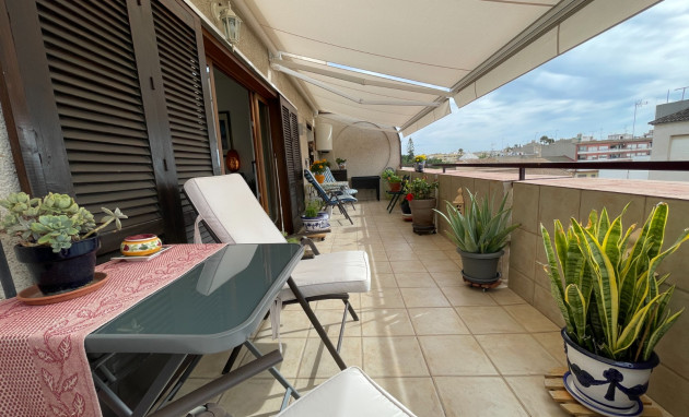 Apartment - Herverkoop - Almoradi - Almoradi - Town