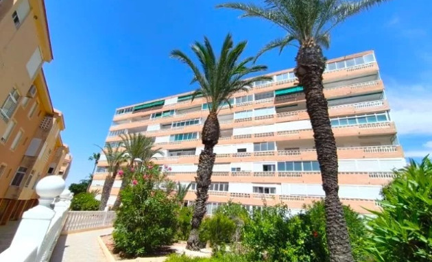 Apartment - Herverkoop - La Mata - La Mata