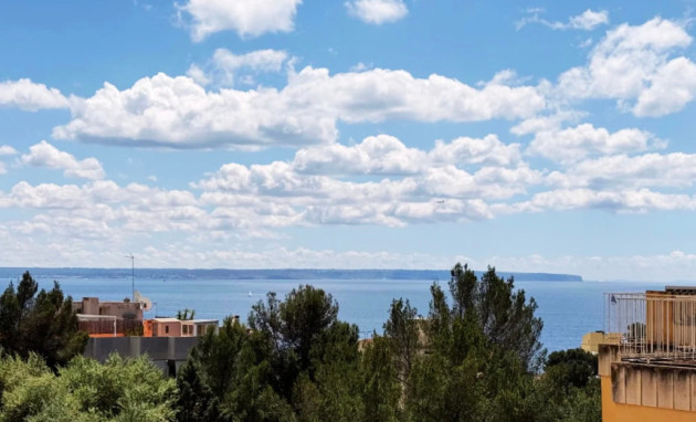 Apartment - Herverkoop - Palma - Sant Agustí