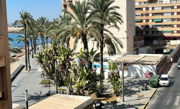 Apartment - Herverkoop - Torrevieja - Estacion de autobuses