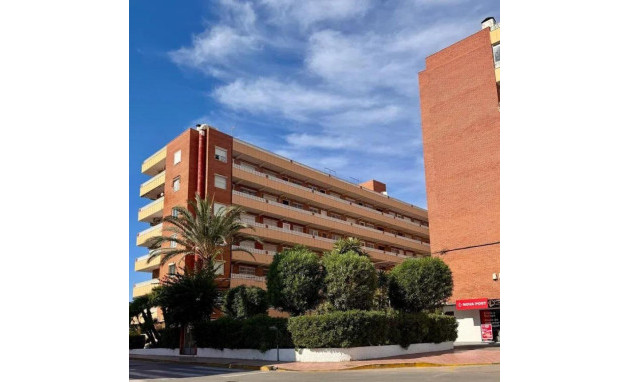 Apartment - Herverkoop - Torrevieja - Punta prima