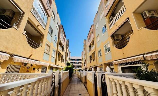 Apartment - Resale - La Mata - La Mata