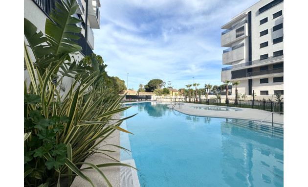 Apartment - Resale - Orihuela Costa - Dehesa de campoamor