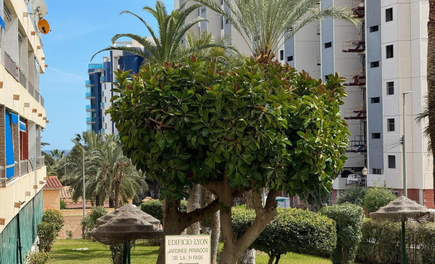 Apartment - Resale - Orihuela Costa - Rocio del Mar