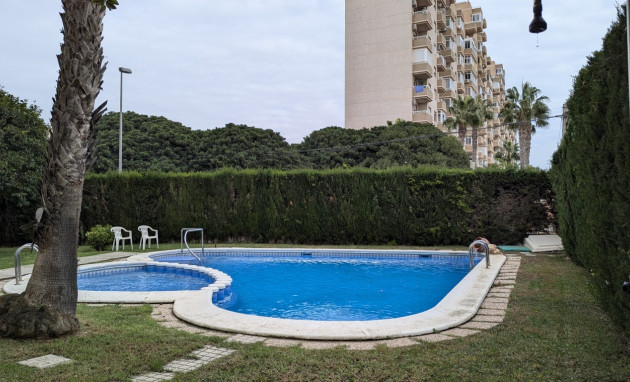 Apartment - Resale - Torrevieja - Torrevieja