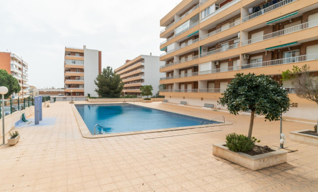 Apartment - Resale - Torrevieja - torrevieja