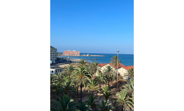Apartment - Resale - Torrevieja - torrevieja
