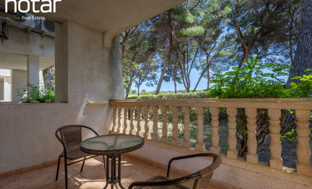 Apartment - Resale - Villamartín - Villamartín