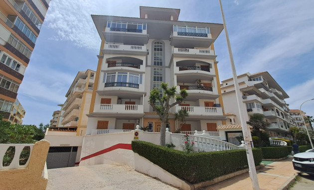 Apartment - Reventa - La Mata - La Mata