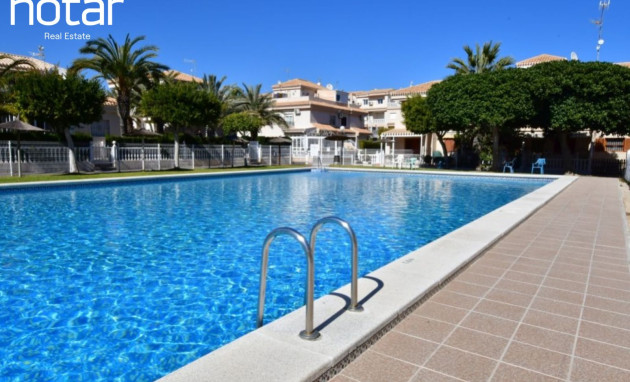 Apartment - Reventa - Playa Flamenca - Playa Flamenca