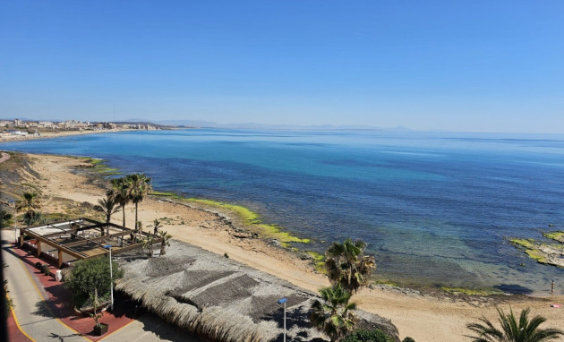 Apartment - Revente - La Mata - JJM--77248
