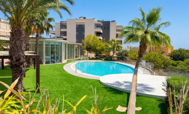 Appartement - Studio - Herverkoop - Orihuela Costa - La Zenia