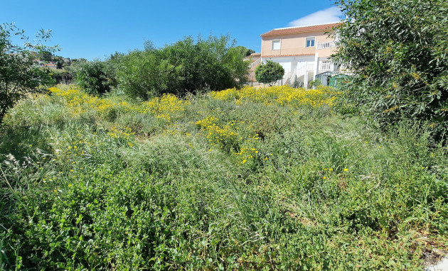Building Plot - Herverkoop - Torrevieja - Torrevieja