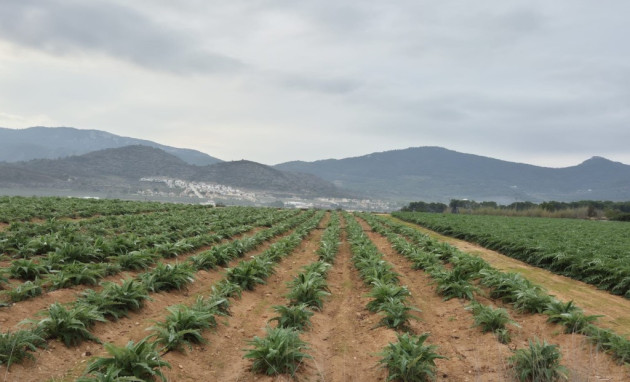 Building Plot - Reventa - Hondon de las Nieves - Hondon de las Nieves