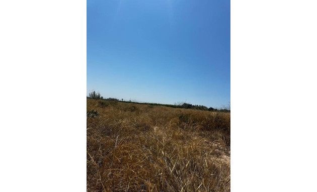 Building Plot - Revente - Elche - Elche