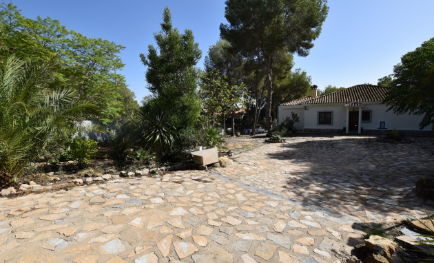 Finca - Herverkoop - Algorfa - Montemar