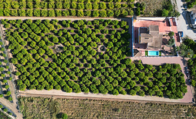 Finca - Reventa - Orihuela - Costa Blanca
