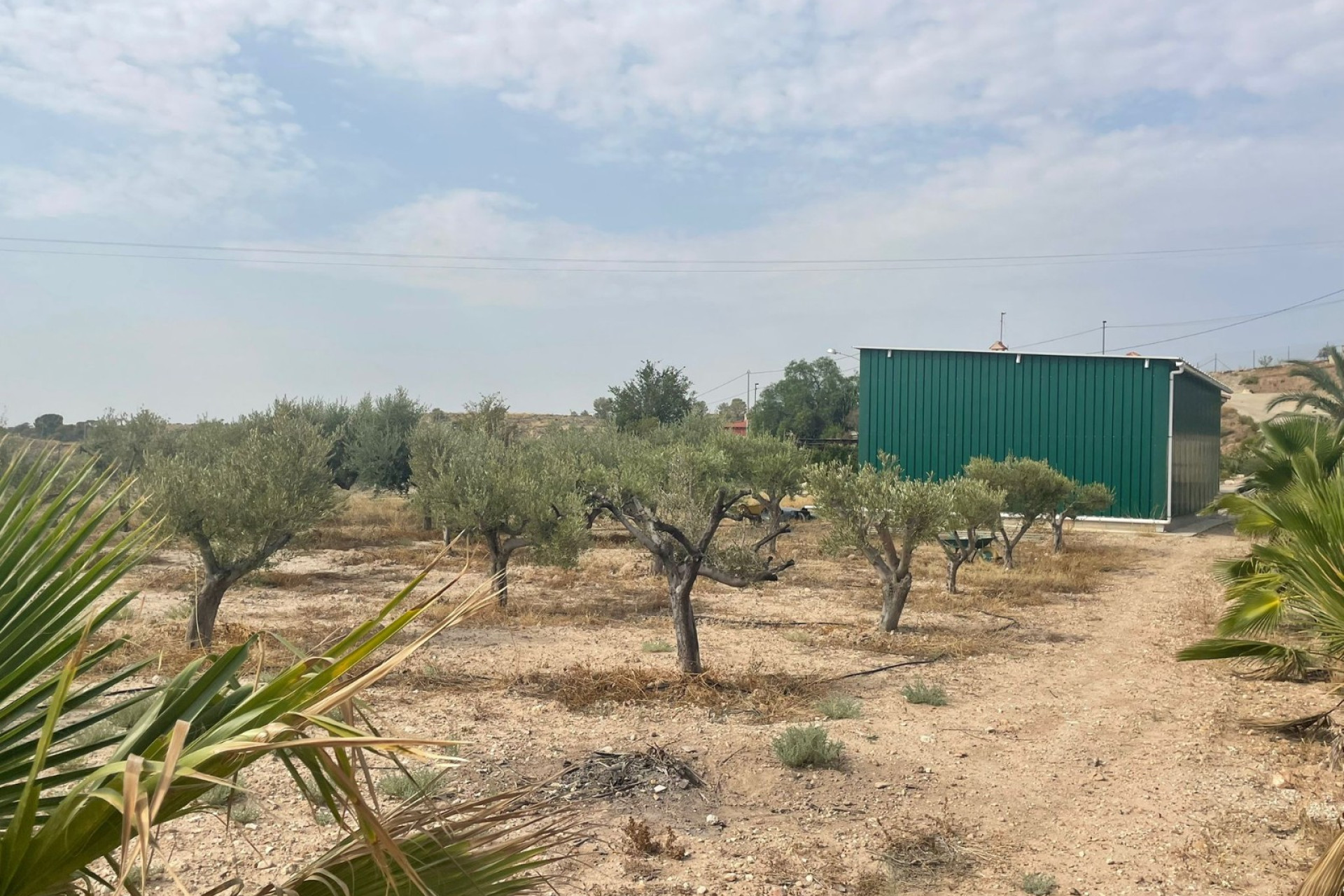 Herverkoop - 5. Finca / Country Property - Abanilla