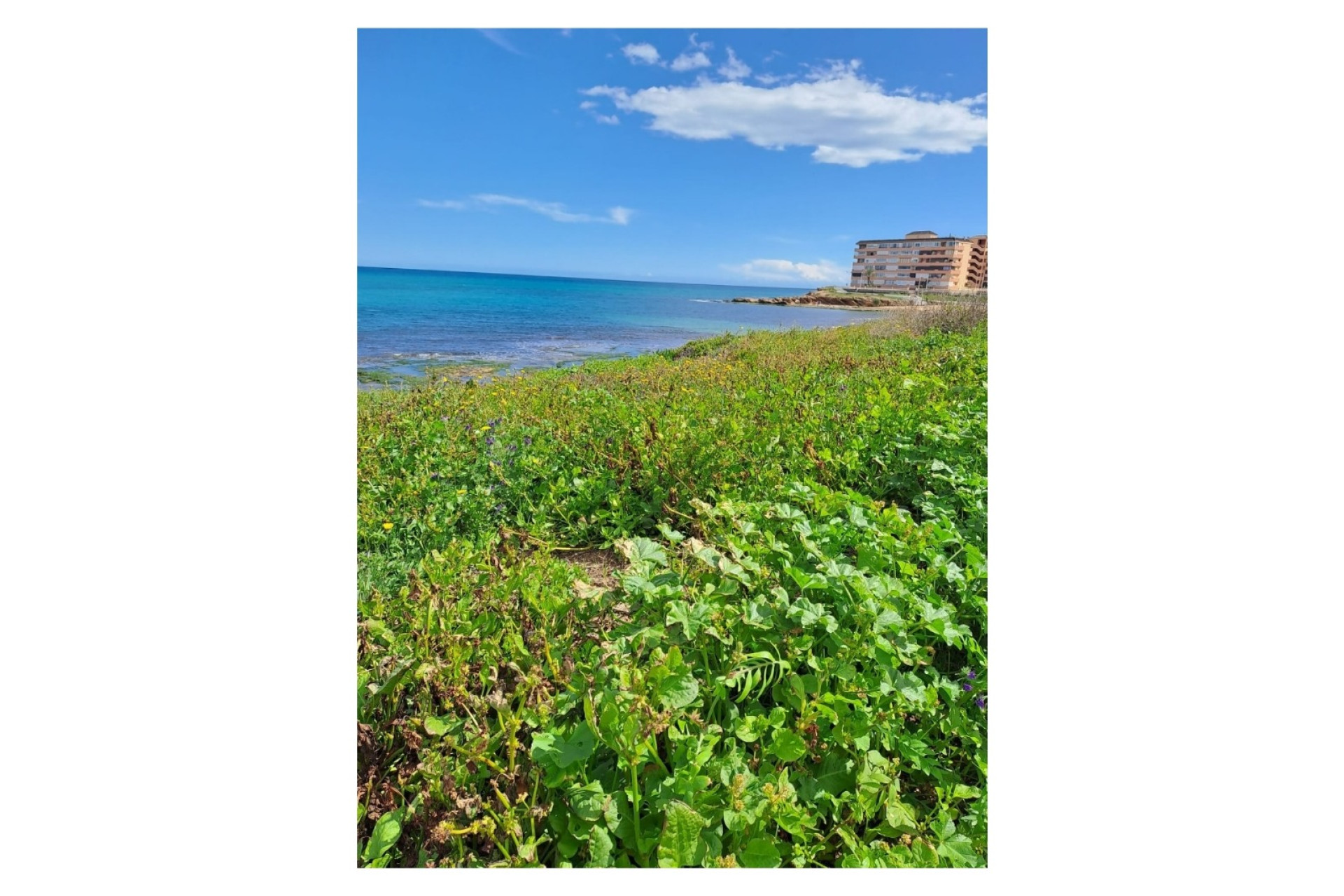 Herverkoop - Apartment - La Mata