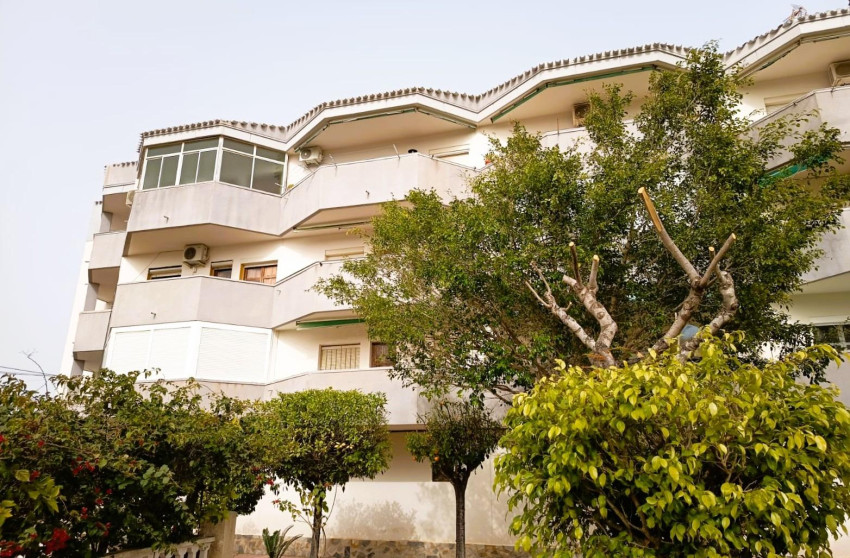 Herverkoop - Apartment - Orihuela Costa - La Regia