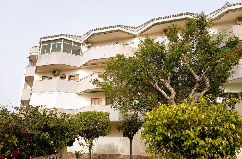 Herverkoop - Apartment - Orihuela Costa - La Regia