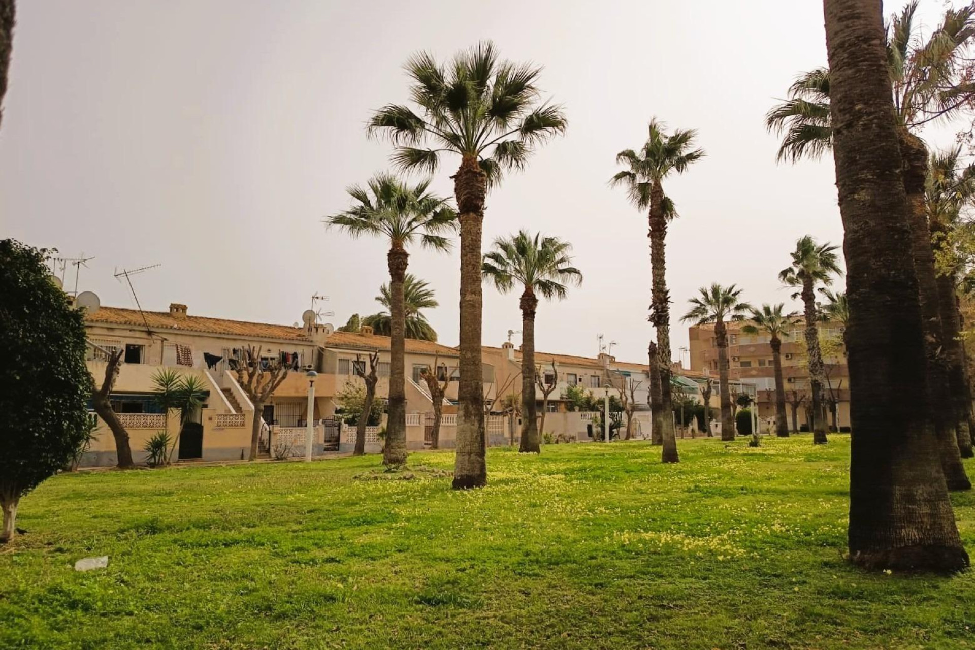 Herverkoop - Apartment - Orihuela Costa - La Regia