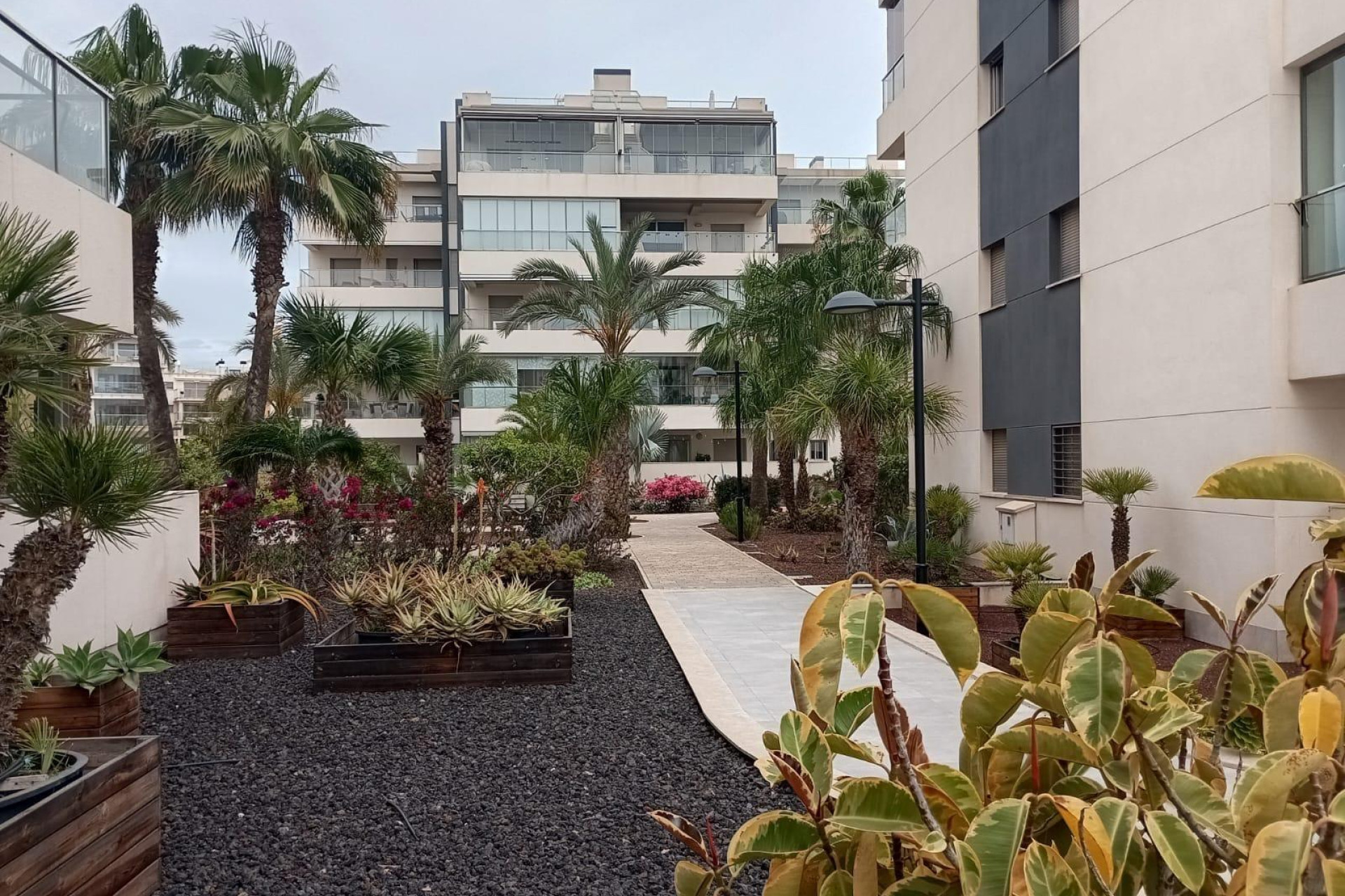 Herverkoop - Apartment - Orihuela Costa - La Zenia