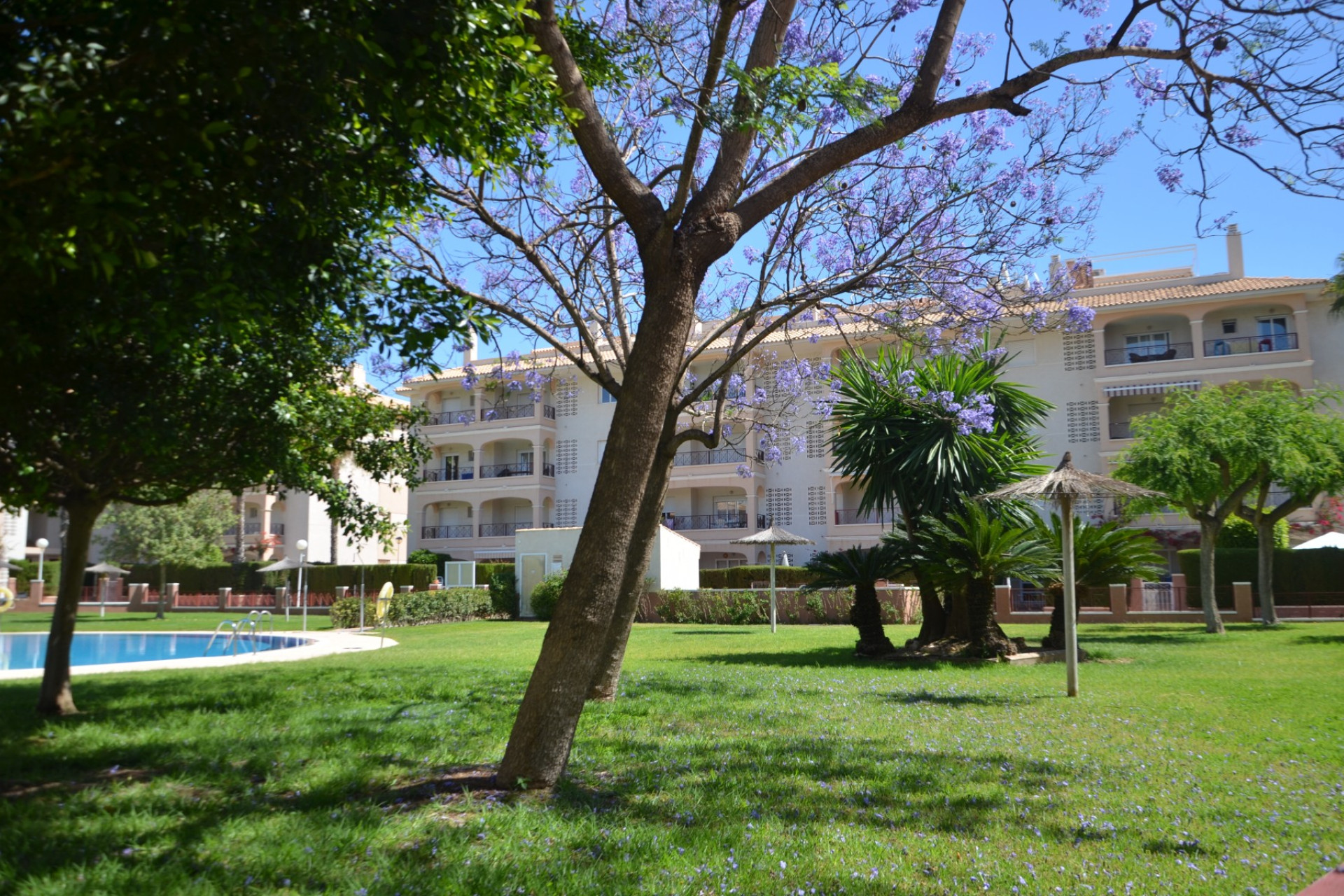 Herverkoop - Apartment - Orihuela Costa - Playa Flamenca