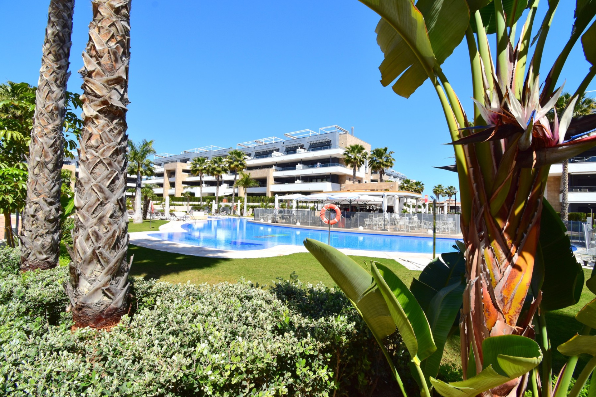 Herverkoop - Apartment - Orihuela Costa - Playa Flamenca