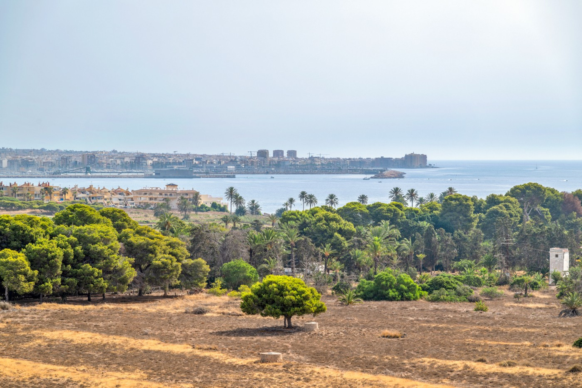 Herverkoop - Apartment - Orihuela Costa - Punta Prima