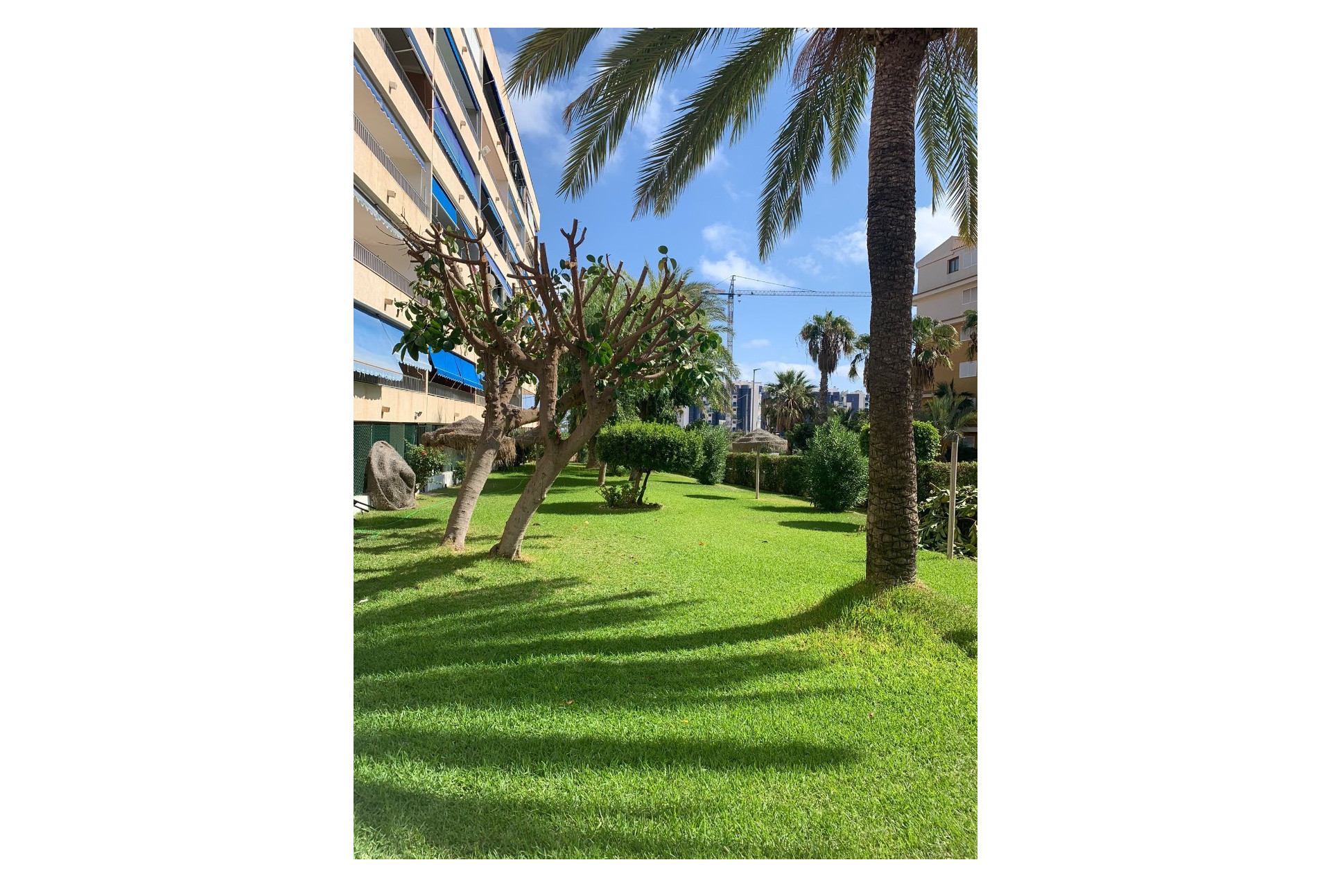 Herverkoop - Apartment - Orihuela Costa - Punta Prima