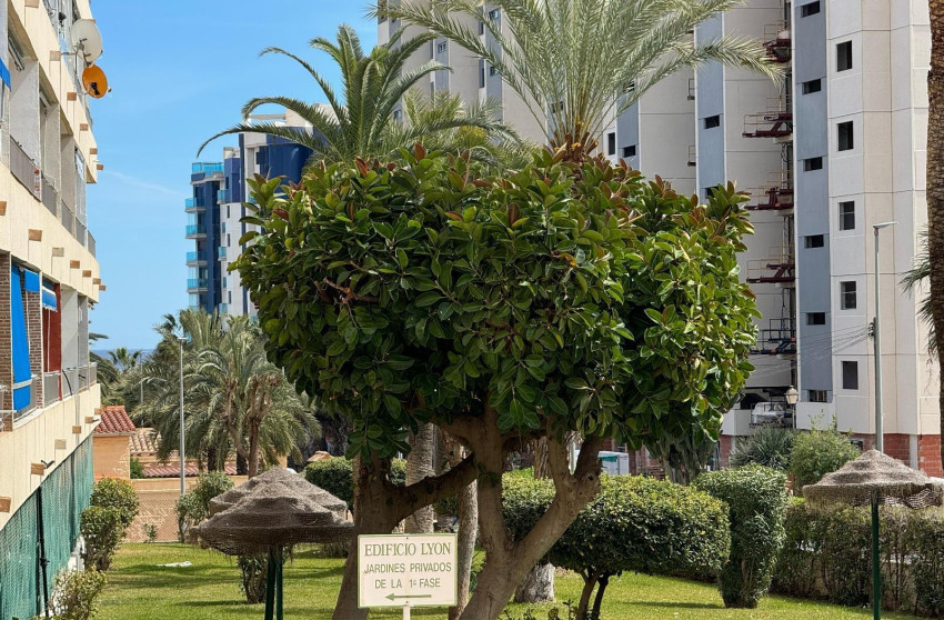 Herverkoop - Apartment - Orihuela Costa - Rocio del Mar