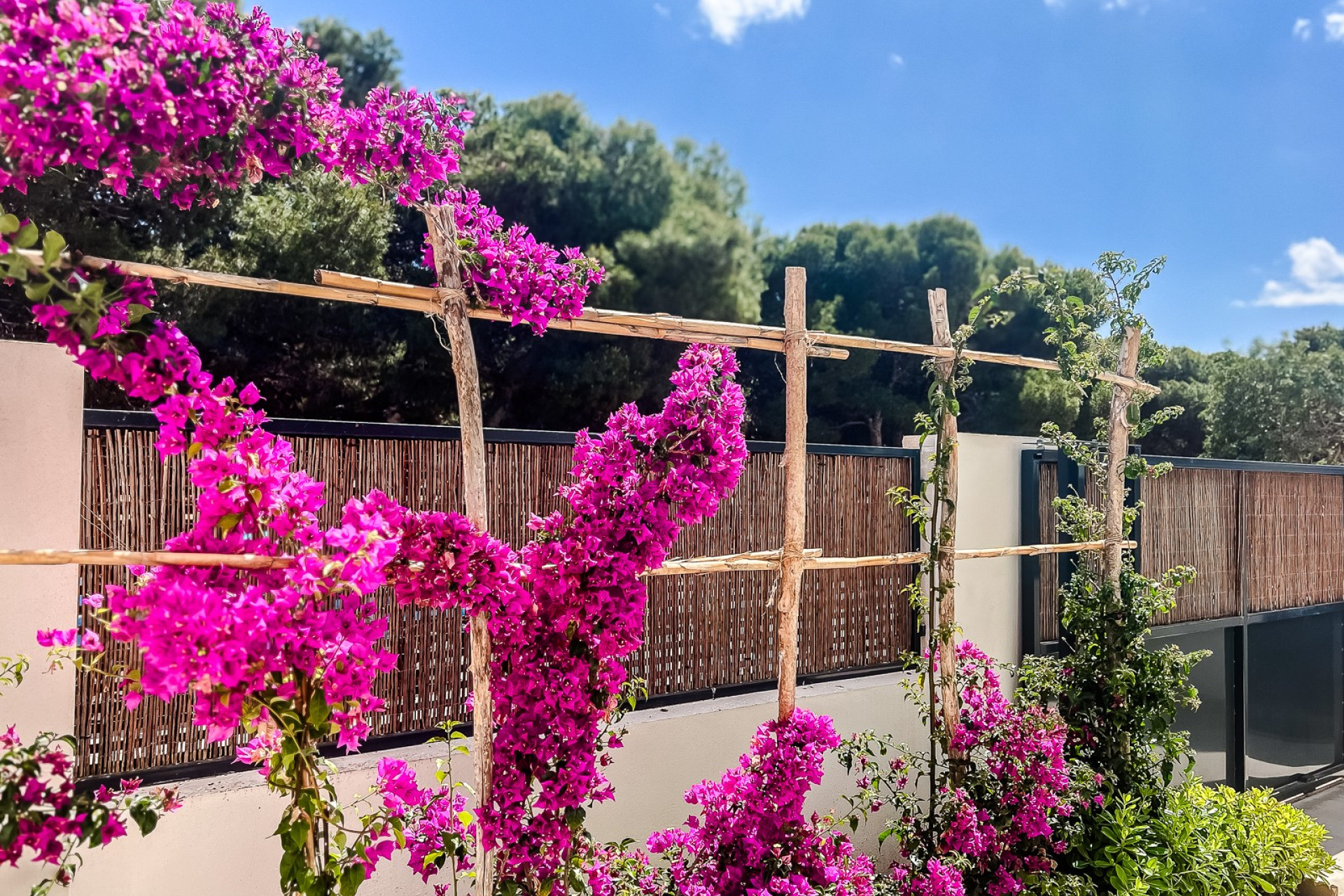 Herverkoop - Apartment - San Javier - Santiago de la Ribera