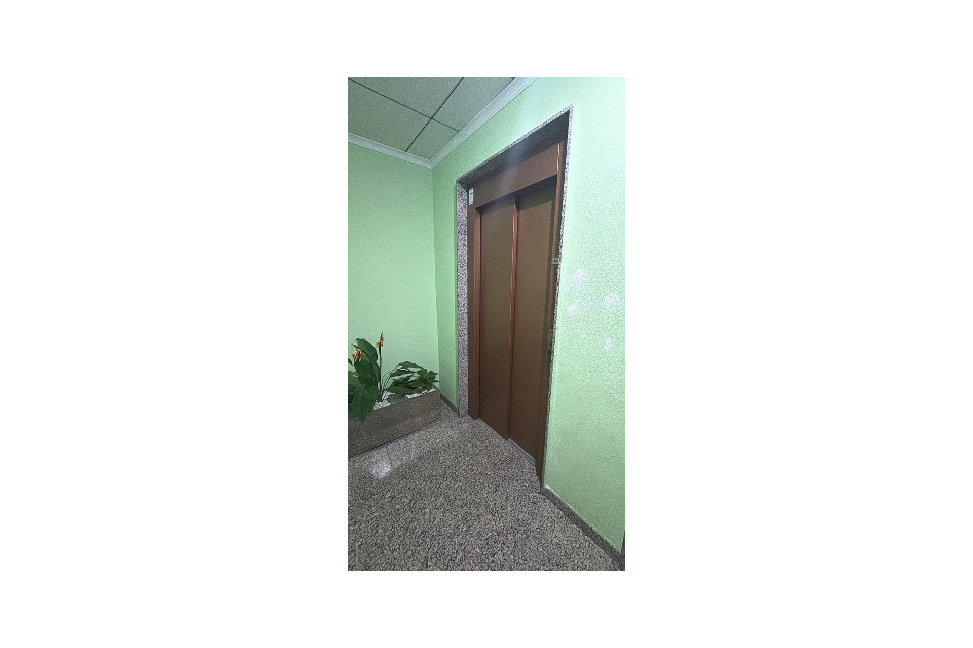 Herverkoop - Apartment - Torrevieja - Costa Blanca