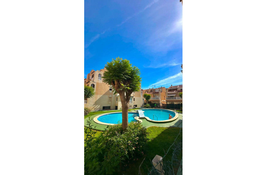 Herverkoop - Apartment - Torrevieja - Estacion de autobuses