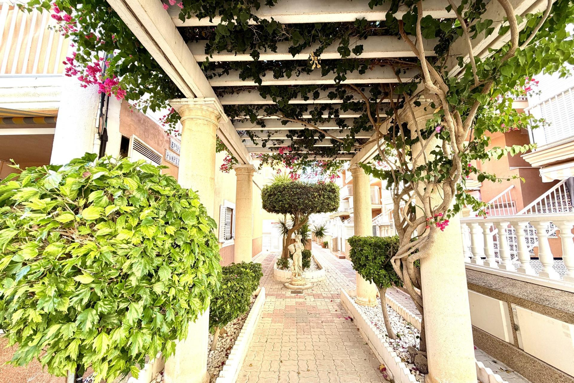 Herverkoop - Apartment - Torrevieja - La Mata pueblo