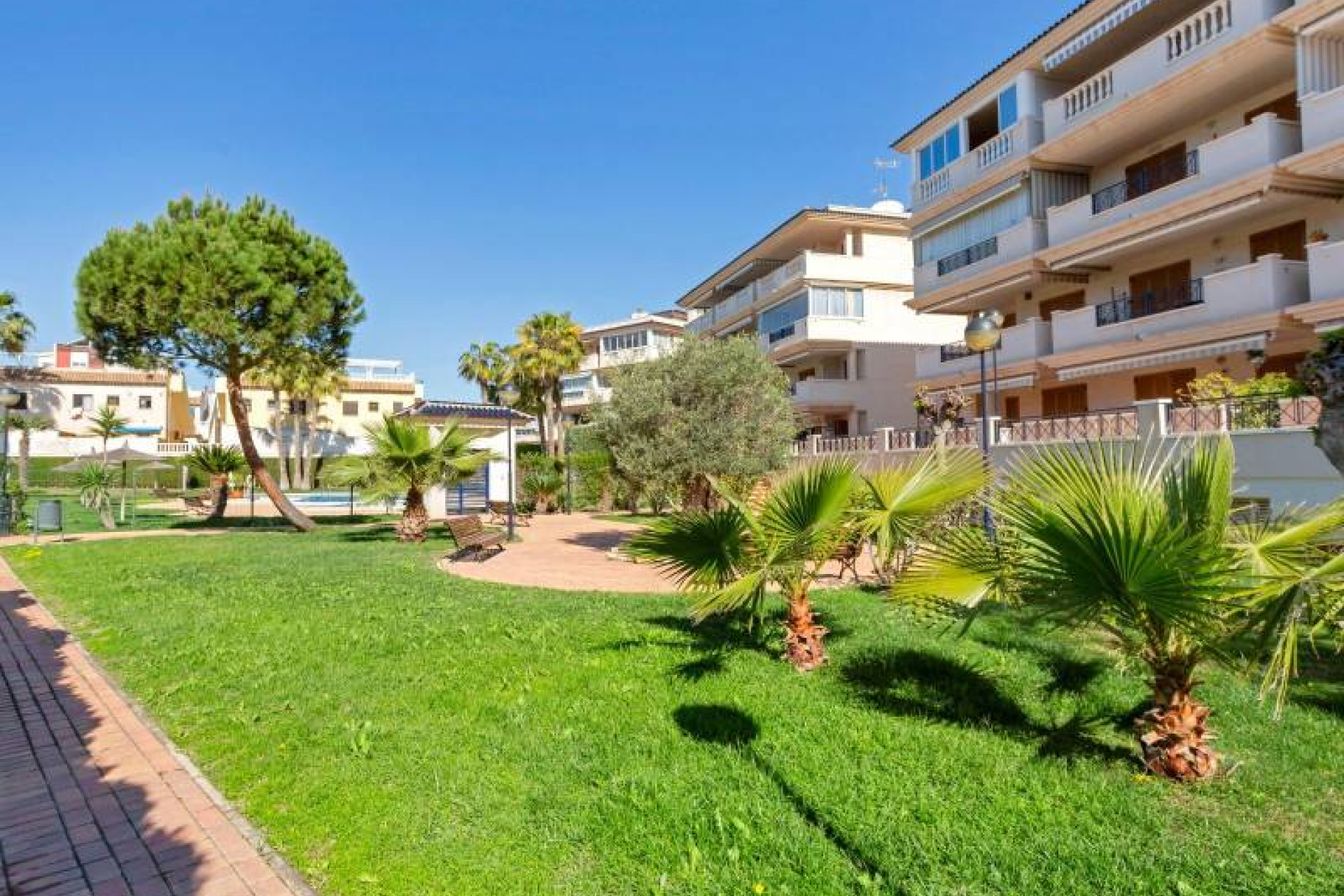 Herverkoop - Apartment - Torrevieja - La Mata