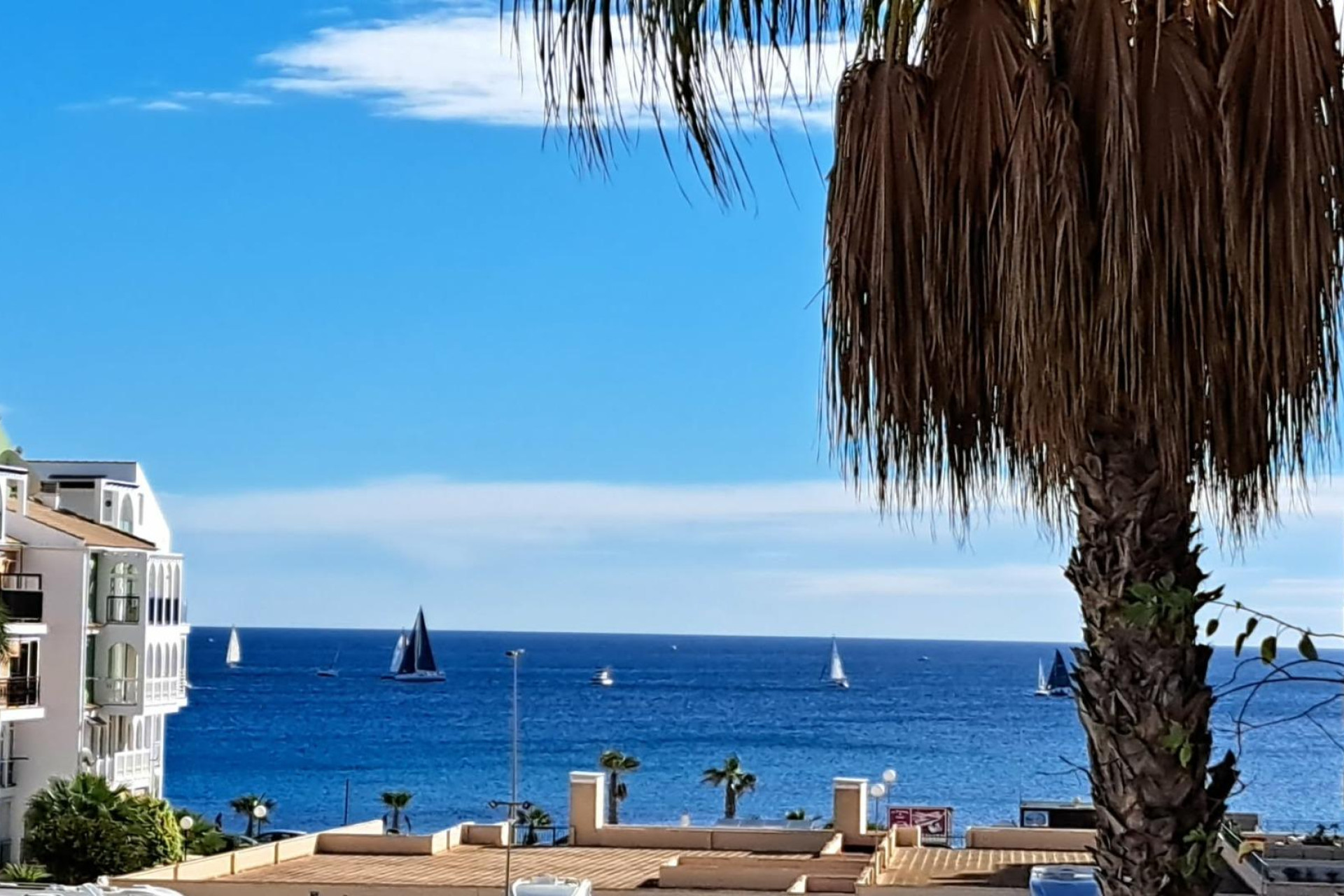 Herverkoop - Apartment - Torrevieja - La veleta