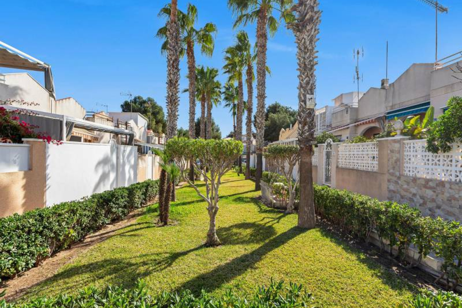 Herverkoop - Apartment - Torrevieja - Lago jardin