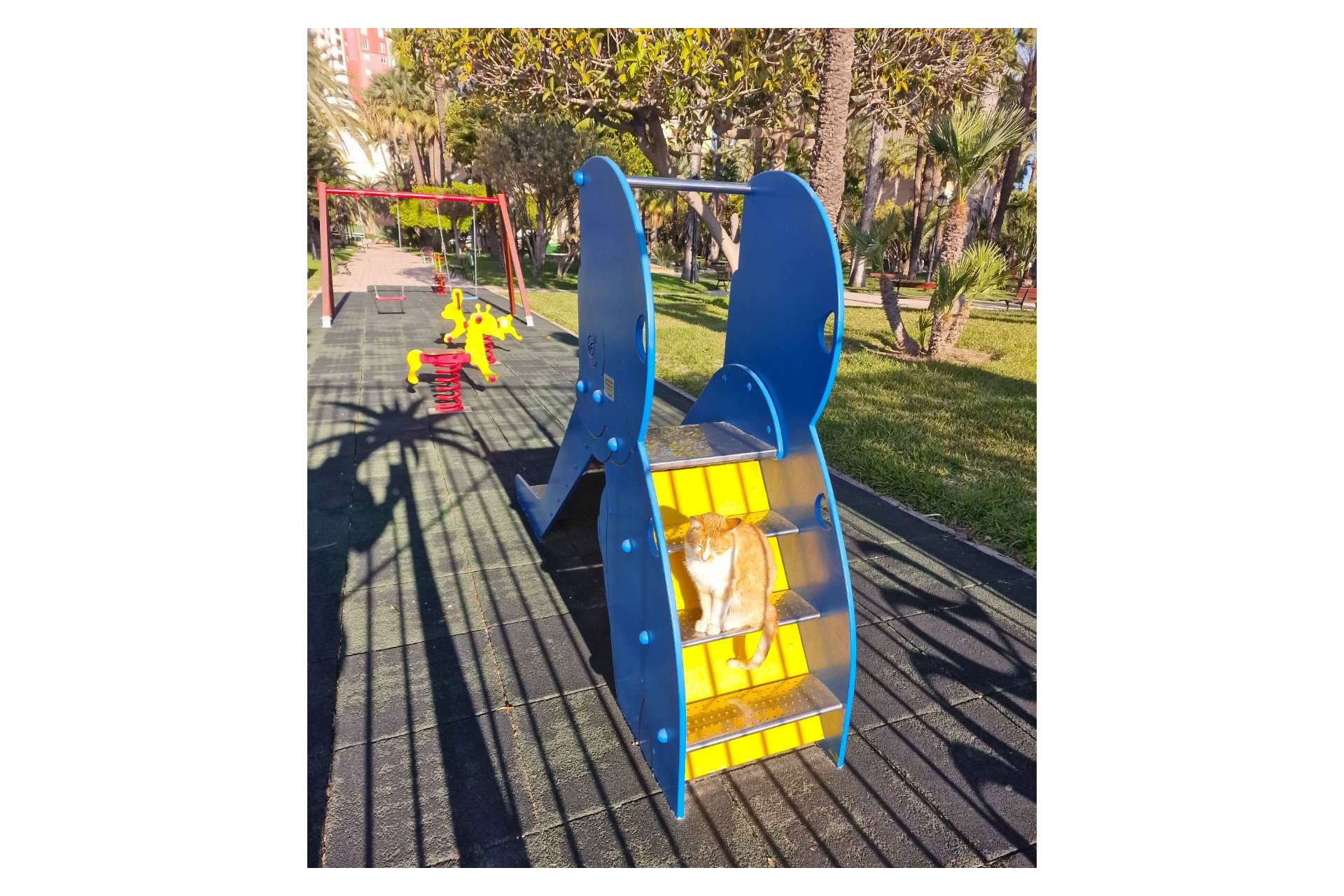 Herverkoop - Apartment - Torrevieja - Playa de los locos