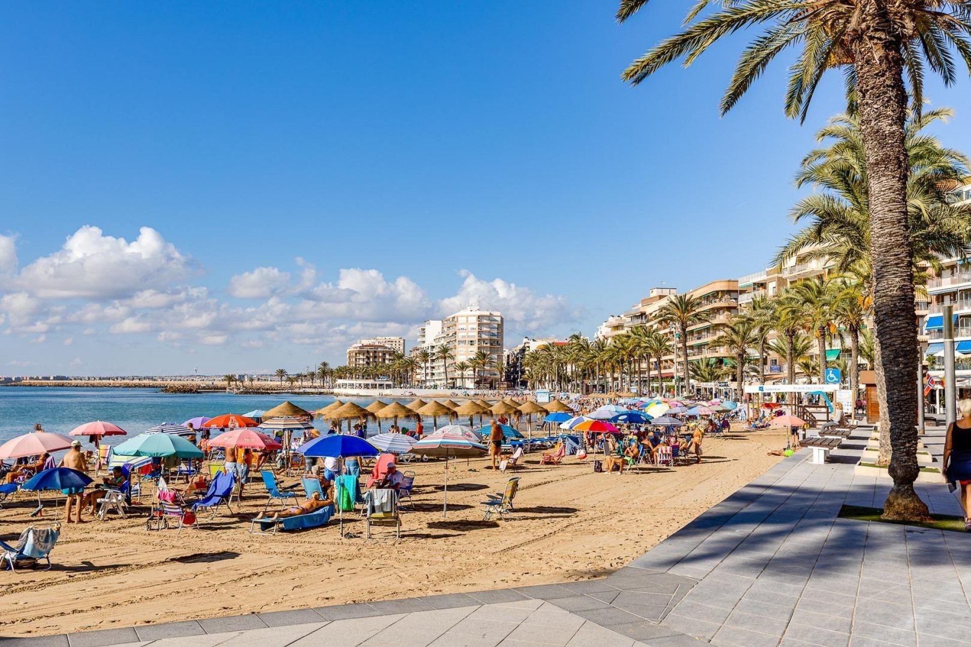 Herverkoop - Apartment - Torrevieja - Playa de los locos
