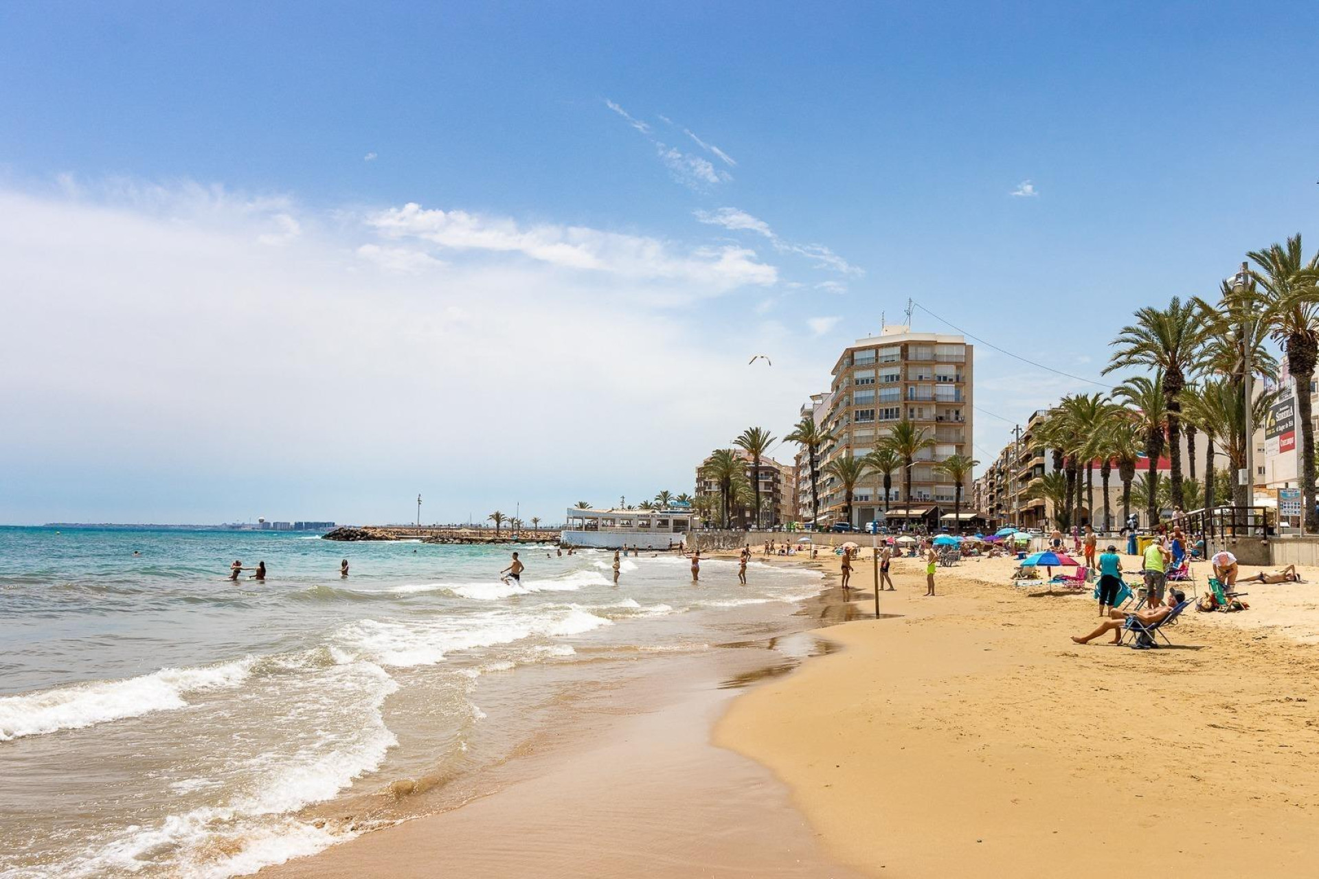 Herverkoop - Apartment - Torrevieja - Playa de los locos