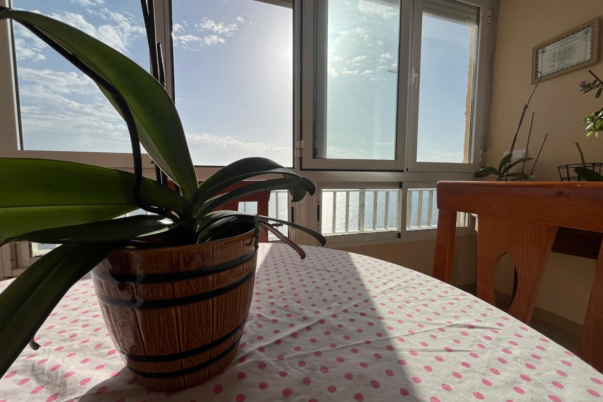 Herverkoop - Apartment - Torrevieja - Playa del cura