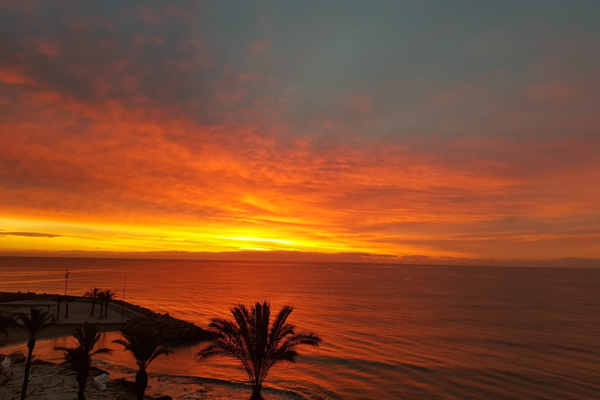 Herverkoop - Apartment - Torrevieja - Playa Del Cura