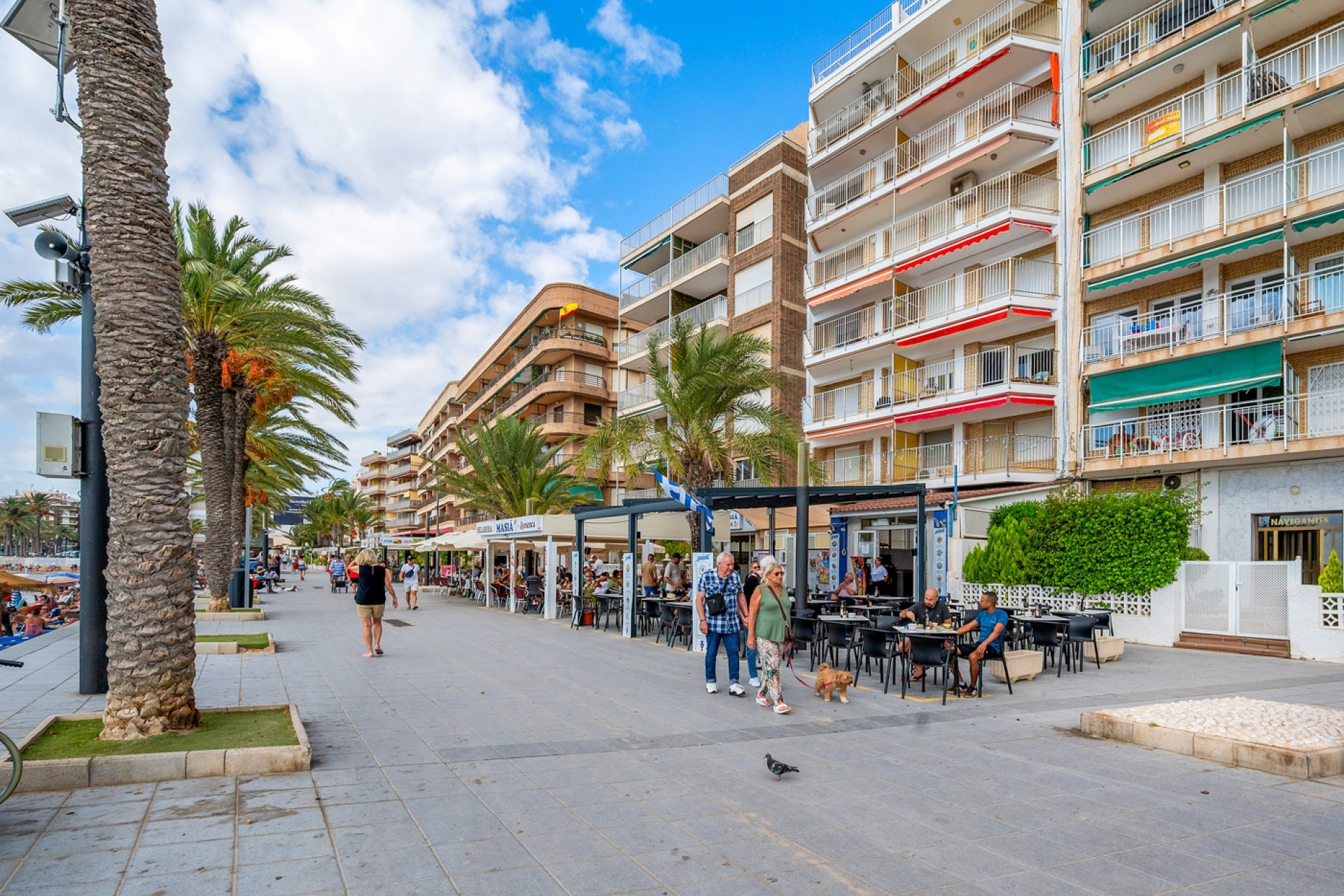 Herverkoop - Apartment - Torrevieja - Playa Del Cura