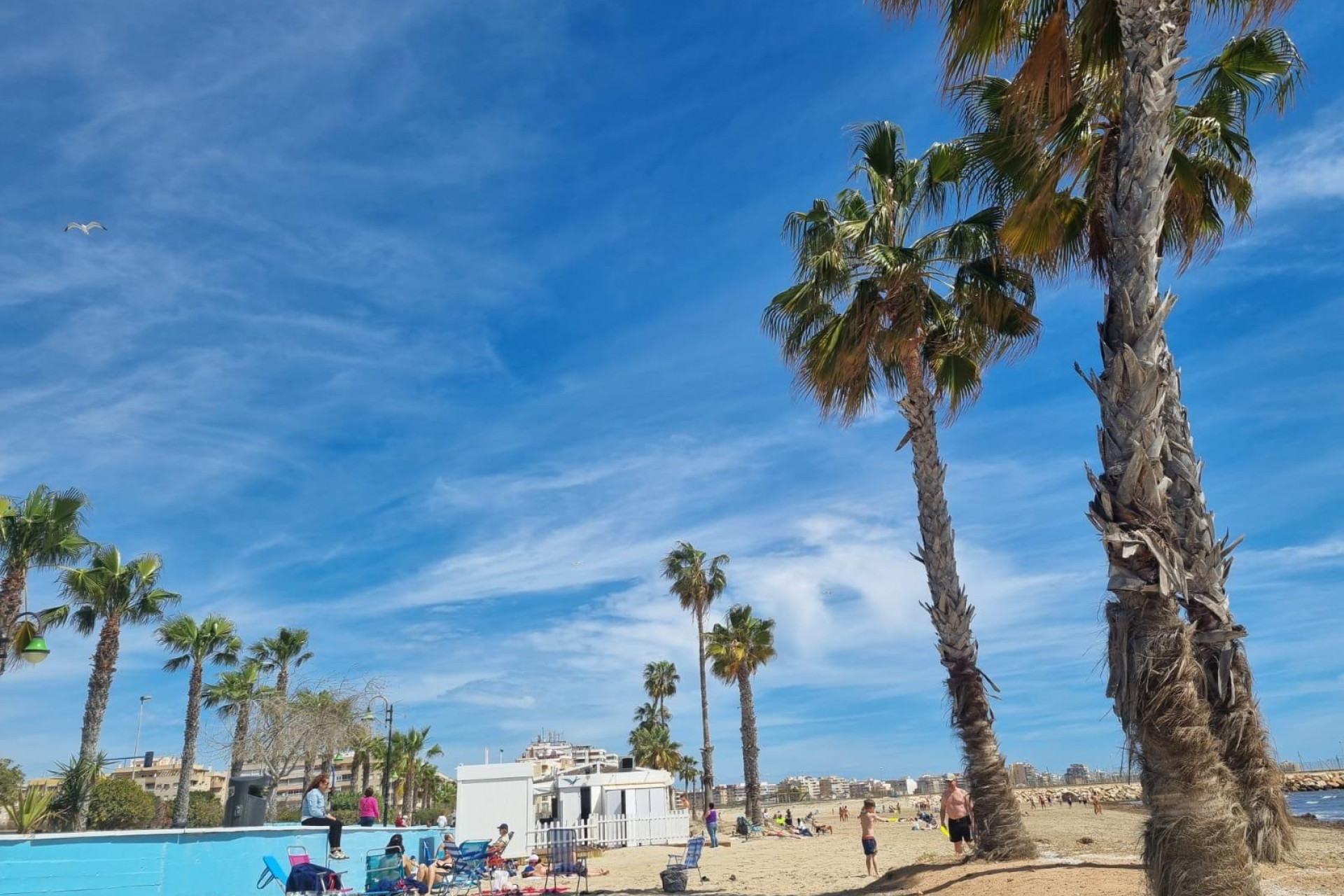 Herverkoop - Apartment - Torrevieja - Playa Los Naufragos