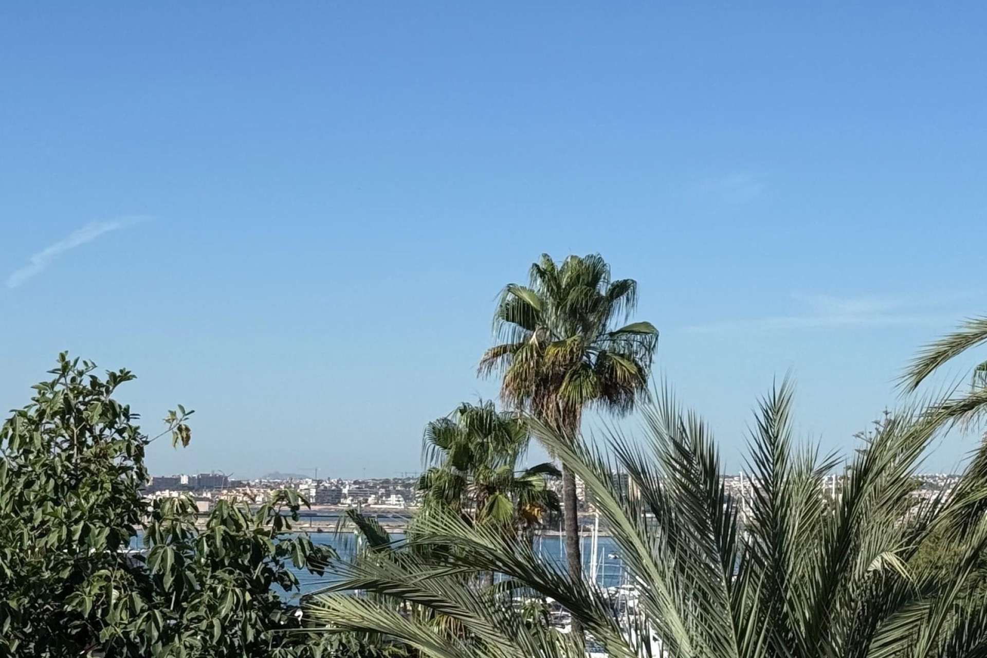 Herverkoop - Apartment - Torrevieja - Puerto Deportivo