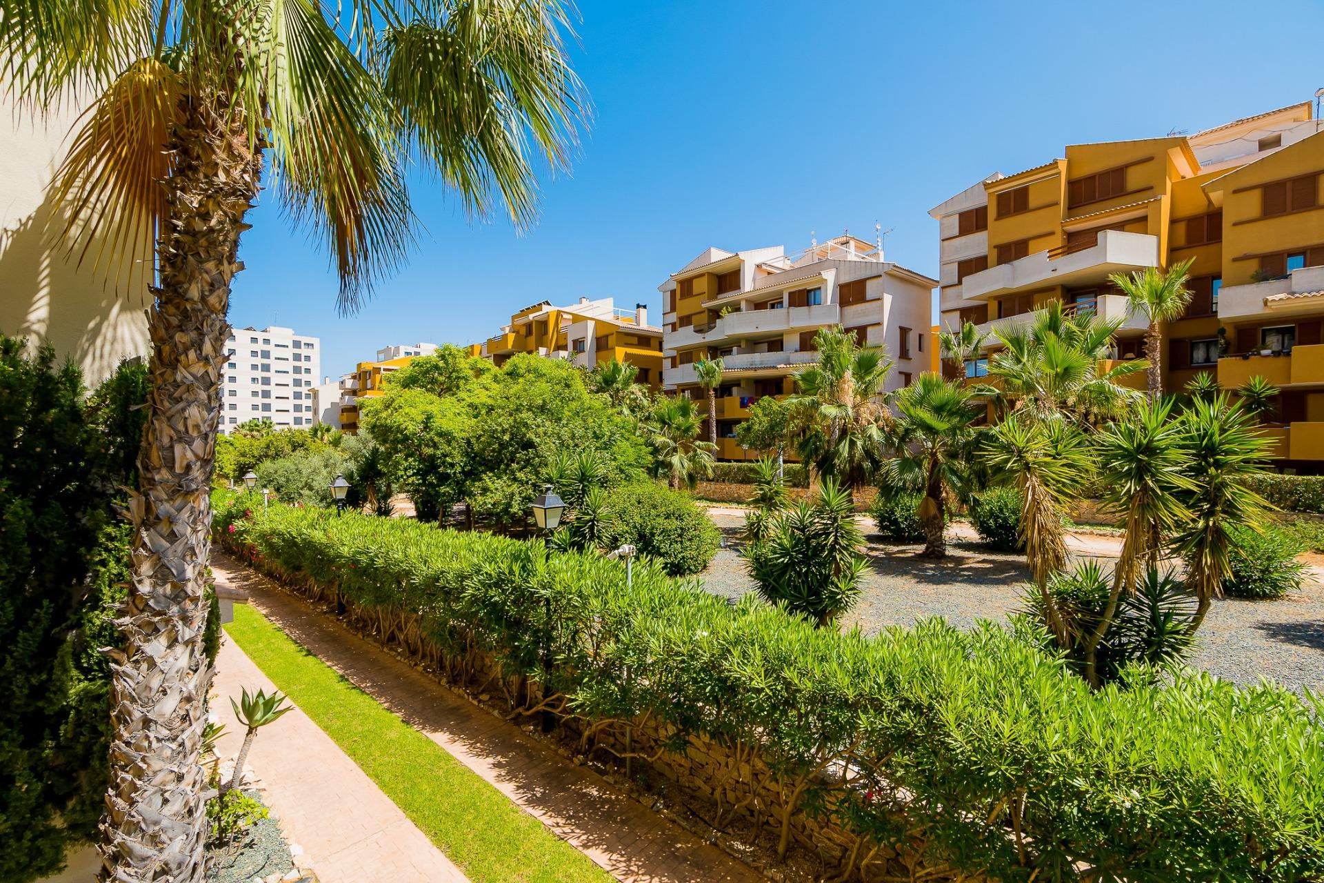 Herverkoop - Apartment - Torrevieja - Punta prima