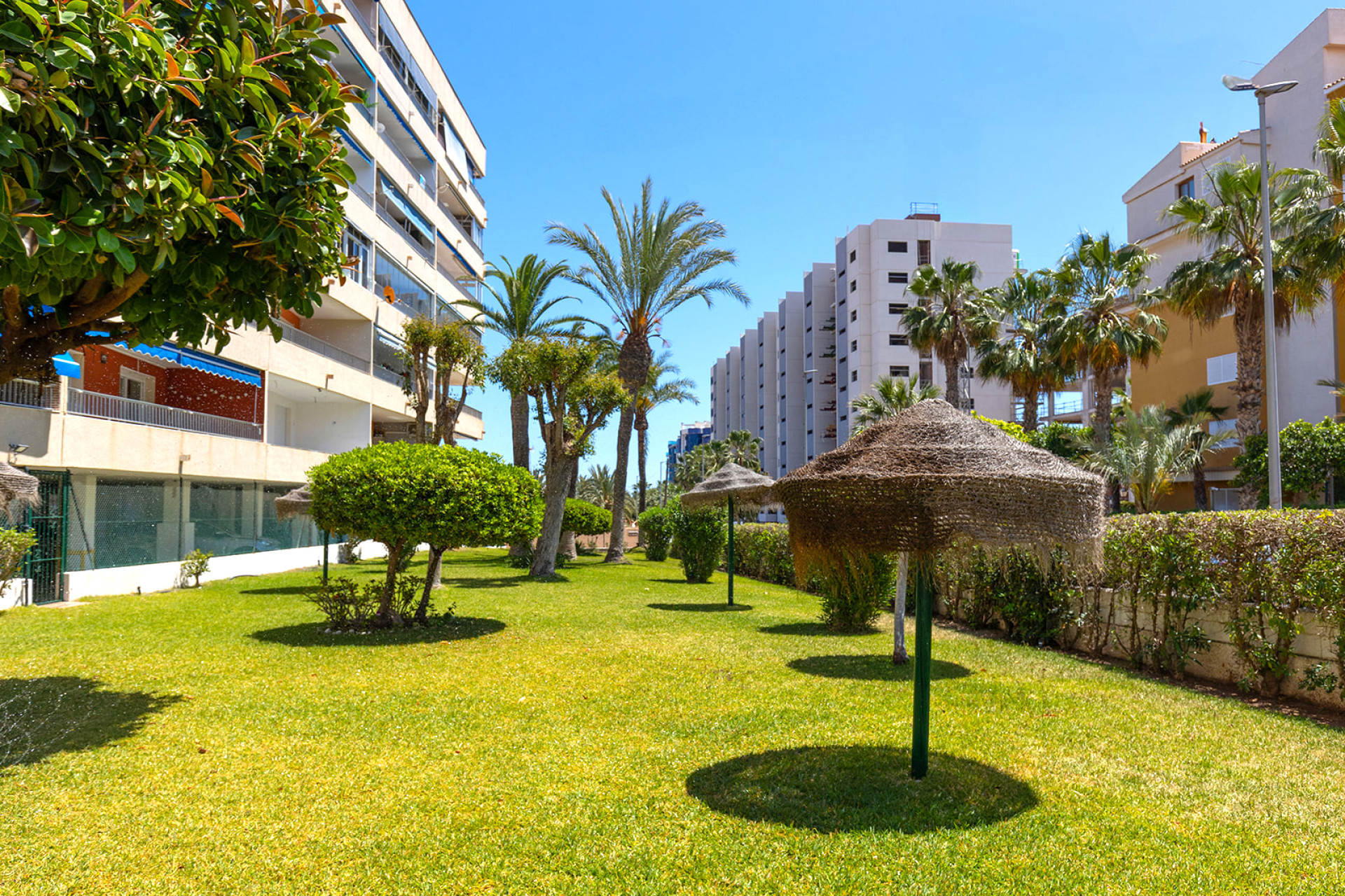 Herverkoop - Apartment - Torrevieja - Rocio del Mar