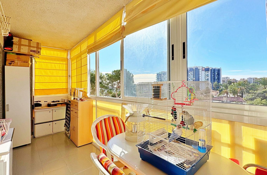 Herverkoop - Apartment - Torrevieja - Rocio del Mar